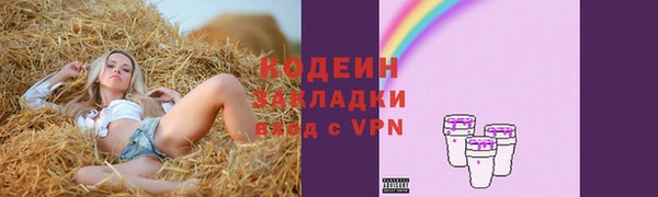 ПСИЛОЦИБИНОВЫЕ ГРИБЫ Бородино