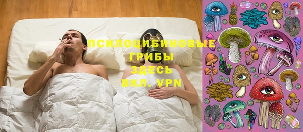 ПСИЛОЦИБИНОВЫЕ ГРИБЫ Бородино