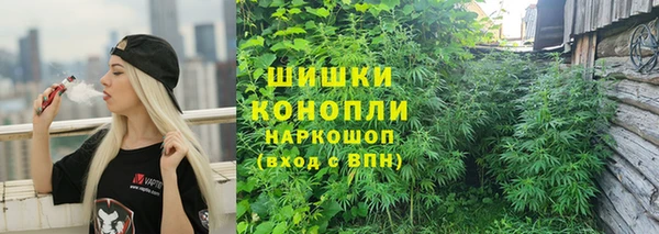 мескалин Богданович