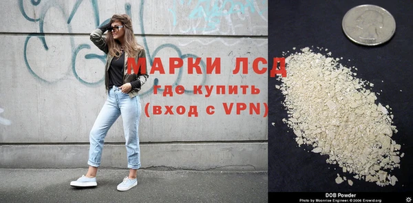 ПСИЛОЦИБИНОВЫЕ ГРИБЫ Бородино
