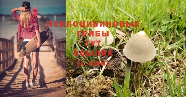 мескалин Богданович