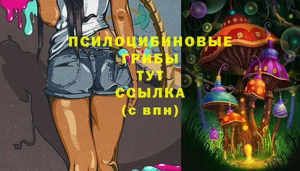 мескалин Богданович