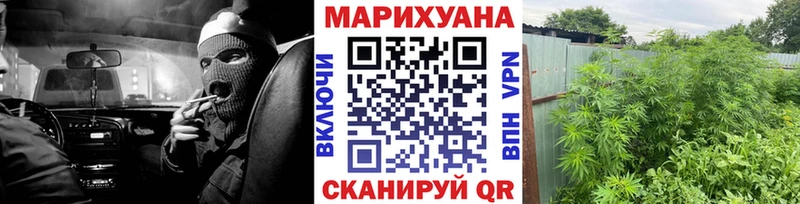 Бошки Шишки Amnesia Гусев